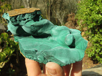 Natural Malachite Specimens x 2 From Congo - Toprock Gemstones and Minerals 