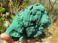 Natural Malachite Specimens x 2 From Congo - Toprock Gemstones and Minerals 