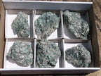 Natural Green Emerald Crystals In Schist Specimens  x 6 From Sandawana, Zimbabwe - TopRock