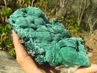 Natural Malachite Specimens x 2 From Congo - Toprock Gemstones and Minerals 