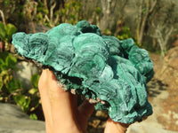 Natural Malachite Specimens x 2 From Congo - Toprock Gemstones and Minerals 
