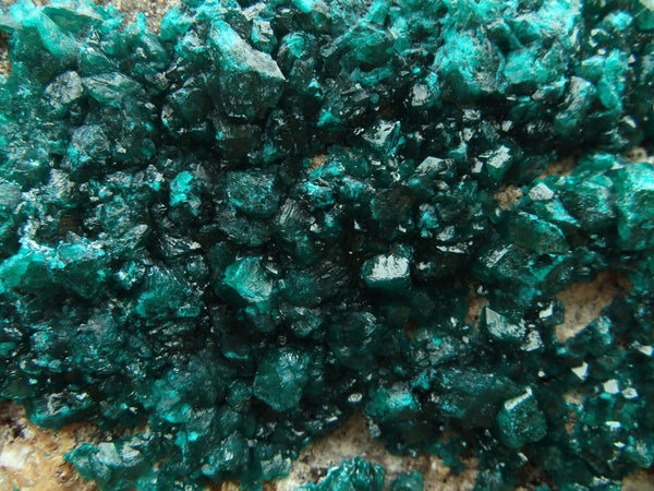 Natural Almost 4kg Drusy Crystalline Dioptase On Dolomite Matrix  x 1 From Kambove, Congo - TopRock