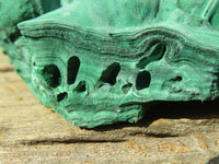 Natural Malachite Specimens x 2 From Congo - Toprock Gemstones and Minerals 