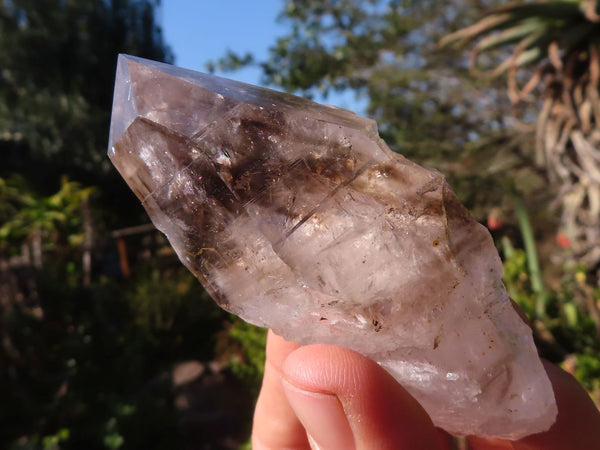 Natural Large Smokey Amethyst Quartz Crystals (One Enhydro) x 6 From Brandberg, Namibia - Toprock Gemstones and Minerals 