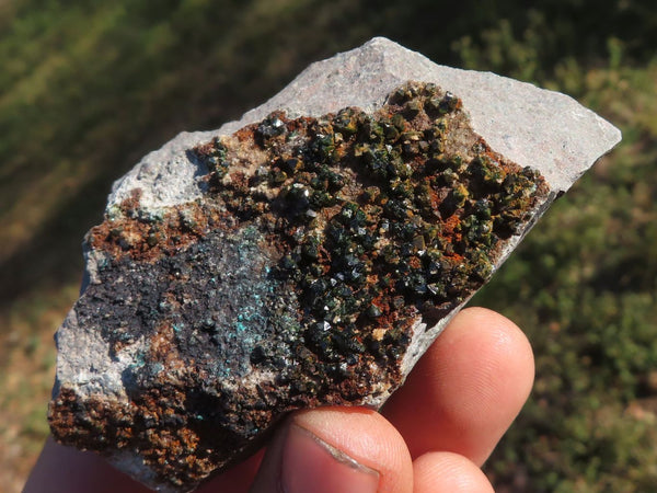 Natural Rare Copper Phosphate Libethenite On Dolomite Clusters  x 7 From Shituru, Congo - TopRock