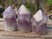 Polished Dream Amethyst Points x 6 From Madagascar - Toprock Gemstones and Minerals 