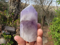 Polished Dream Amethyst Points x 6 From Madagascar - Toprock Gemstones and Minerals 