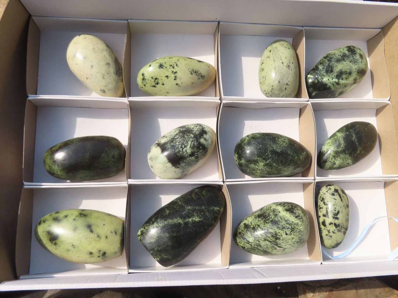 Polished Leopard Stone Free Forms  x 12 From Inyanga, Zimbabwe - Toprock Gemstones and Minerals 