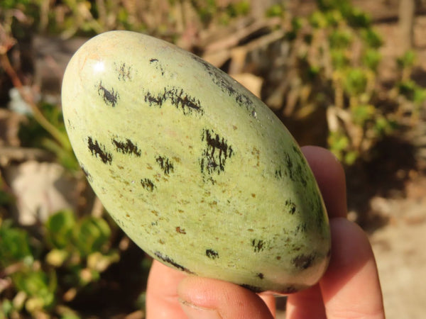 Polished Leopard Stone Free Forms  x 12 From Inyanga, Zimbabwe - Toprock Gemstones and Minerals 