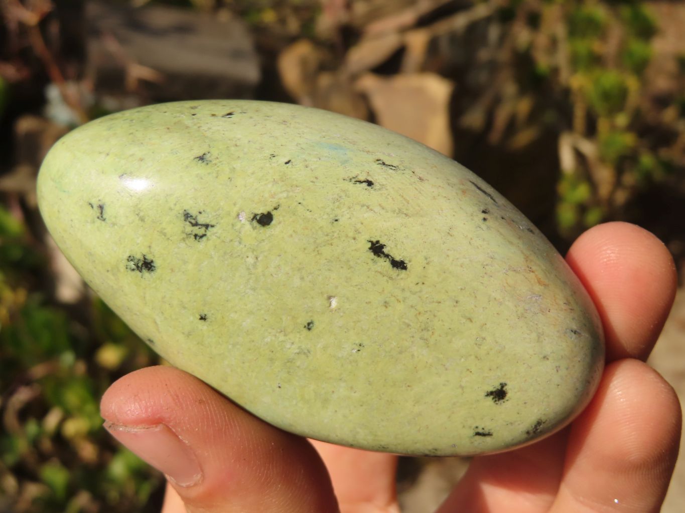 Polished Leopard Stone Free Forms  x 12 From Inyanga, Zimbabwe - Toprock Gemstones and Minerals 