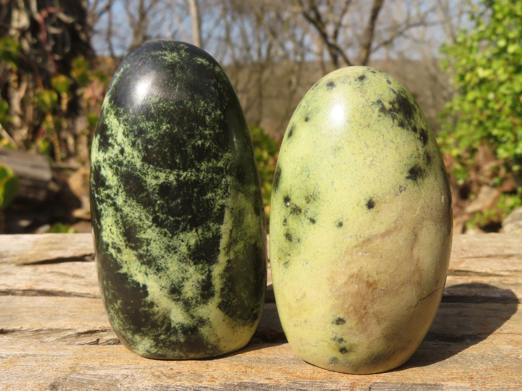 Polished Leopard Stone Free Forms  x 12 From Inyanga, Zimbabwe - Toprock Gemstones and Minerals 