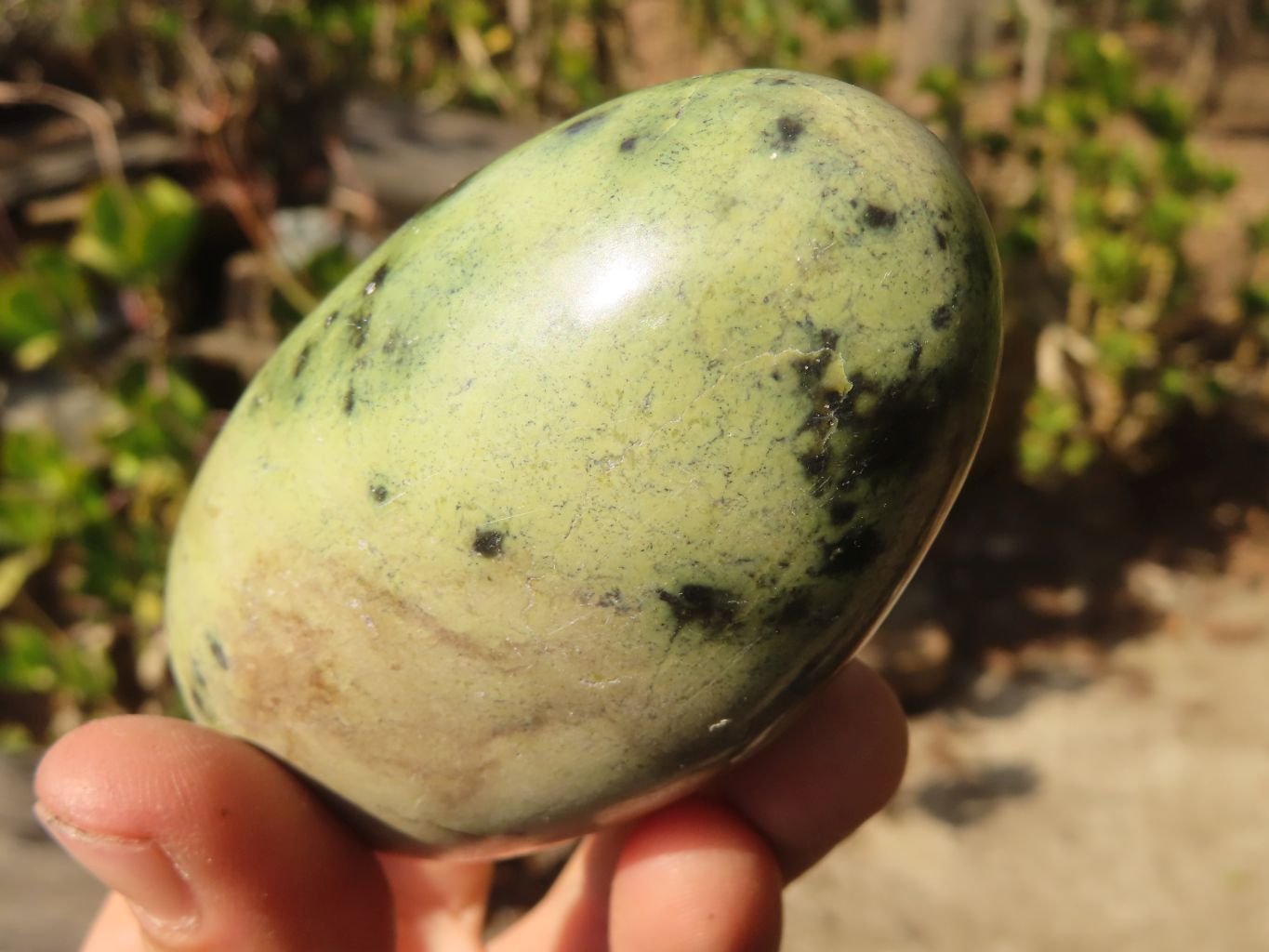 Polished Leopard Stone Free Forms  x 12 From Inyanga, Zimbabwe - Toprock Gemstones and Minerals 