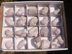 Natural Pale Lilac Spirit Amethyst Quartz Crystals x 20 From Boekenhouthoek, South Africa - Toprock Gemstones and Minerals 