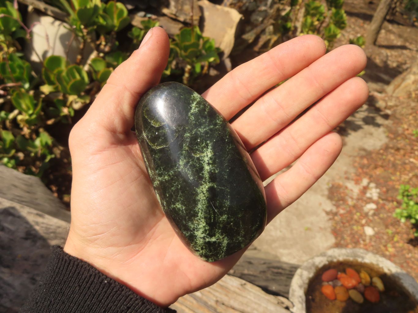 Polished Leopard Stone Free Forms  x 12 From Inyanga, Zimbabwe - Toprock Gemstones and Minerals 