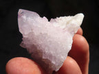 Natural Pale Lilac Spirit Amethyst Quartz Crystals x 20 From Boekenhouthoek, South Africa - Toprock Gemstones and Minerals 
