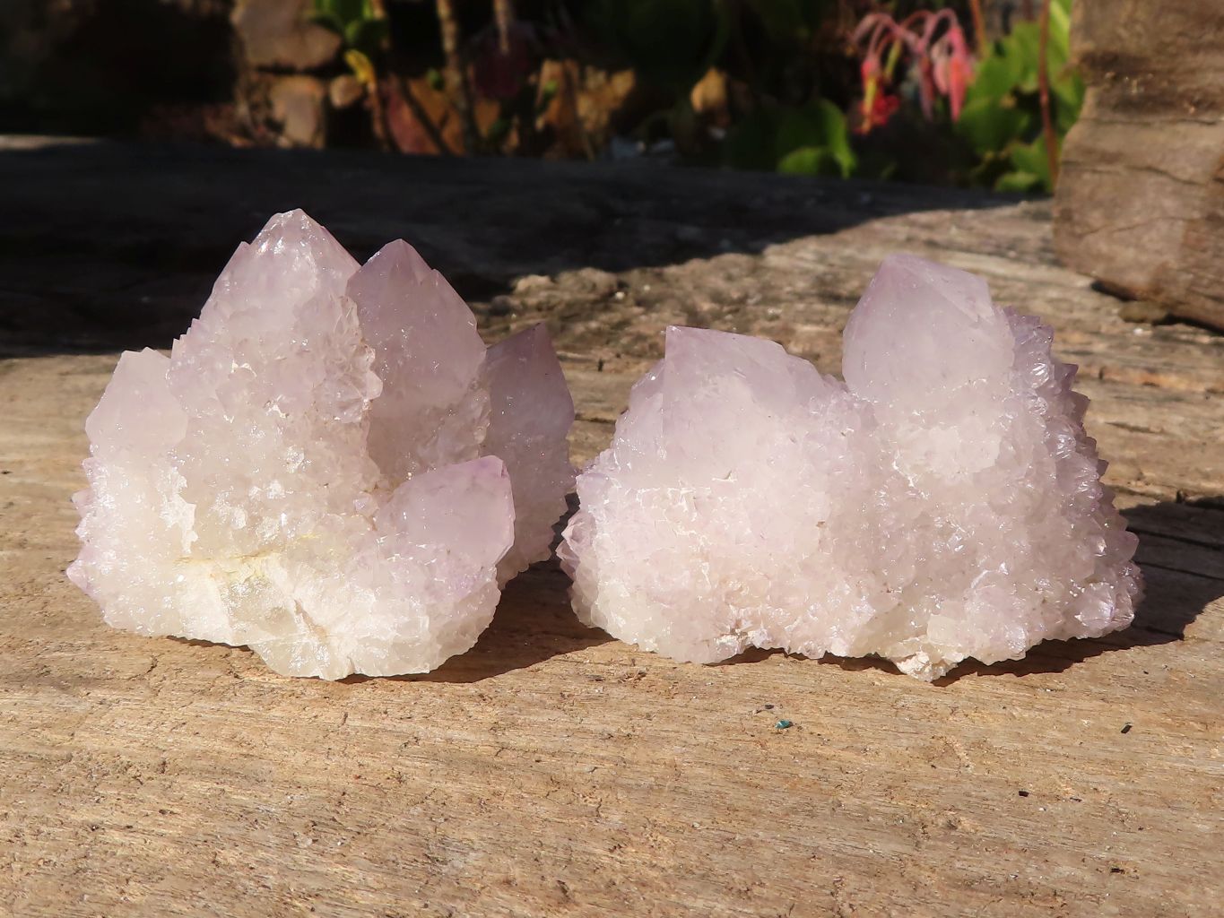 Natural Pale Lilac Spirit Amethyst Quartz Crystals x 20 From Boekenhouthoek, South Africa - Toprock Gemstones and Minerals 