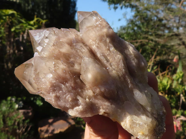 Natural Smokey Quartz Clusters  x 3 From Luena, Congo - Toprock Gemstones and Minerals 
