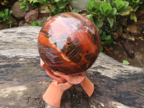 Polished Petrified Red Podocarpus Wood Sphere With Rosewood Stand x 2 From Madagascar - Toprock Gemstones and Minerals 
