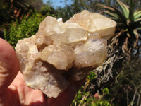 Natural Smokey Quartz Clusters  x 3 From Luena, Congo - Toprock Gemstones and Minerals 