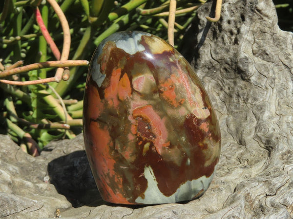 Polished Polychrome Jasper Standing Free Forms x 6 From Madagascar - TopRock