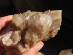Natural Smokey Quartz Clusters  x 3 From Luena, Congo - Toprock Gemstones and Minerals 