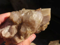 Natural Smokey Quartz Clusters  x 3 From Luena, Congo - Toprock Gemstones and Minerals 