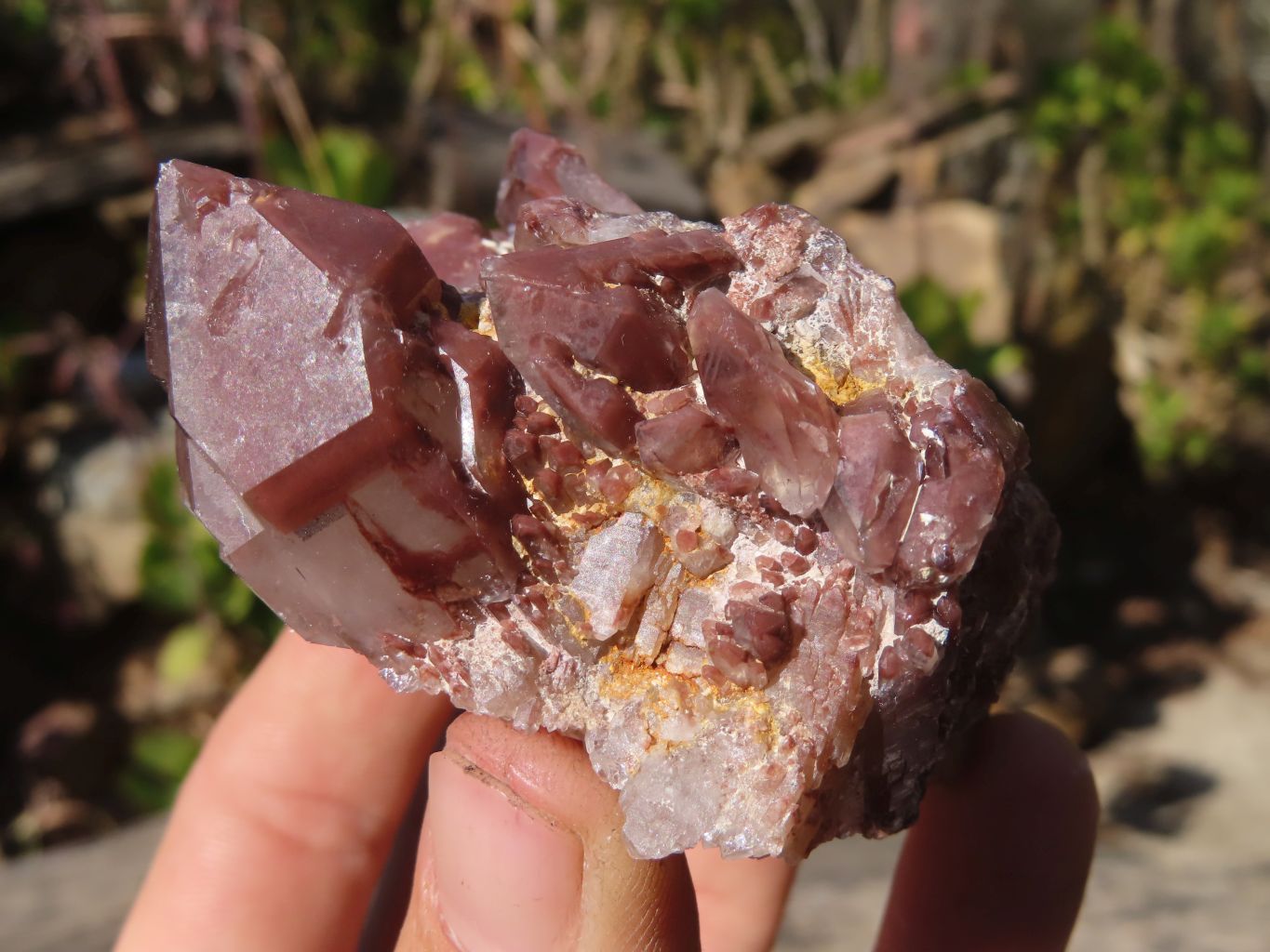 Natural Red Hematoid Quartz Specimens x 12 From Karoi, Zimbabwe - Toprock Gemstones and Minerals 