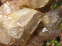 Natural Smokey Quartz Clusters  x 3 From Luena, Congo - Toprock Gemstones and Minerals 