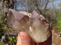 Natural Red Hematoid Quartz Specimens x 12 From Karoi, Zimbabwe - Toprock Gemstones and Minerals 
