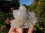 Natural White Spirit Cactus Quartz Clusters x 6 From Boekenhouthoek, South Africa - TopRock