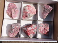 Natural Rough Red Rhodonite Cobbed Specimens  x 6 From Zimbabwe - TopRock