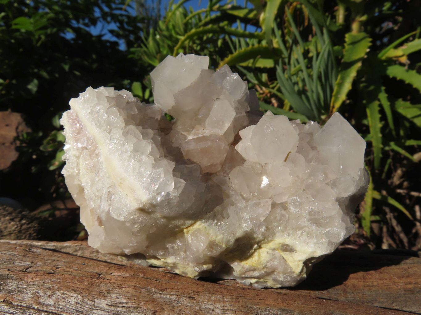 Natural White Spirit Cactus Quartz Clusters x 6 From Boekenhouthoek, South Africa - TopRock