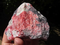 Natural Rough Red Rhodonite Cobbed Specimens  x 6 From Zimbabwe - TopRock