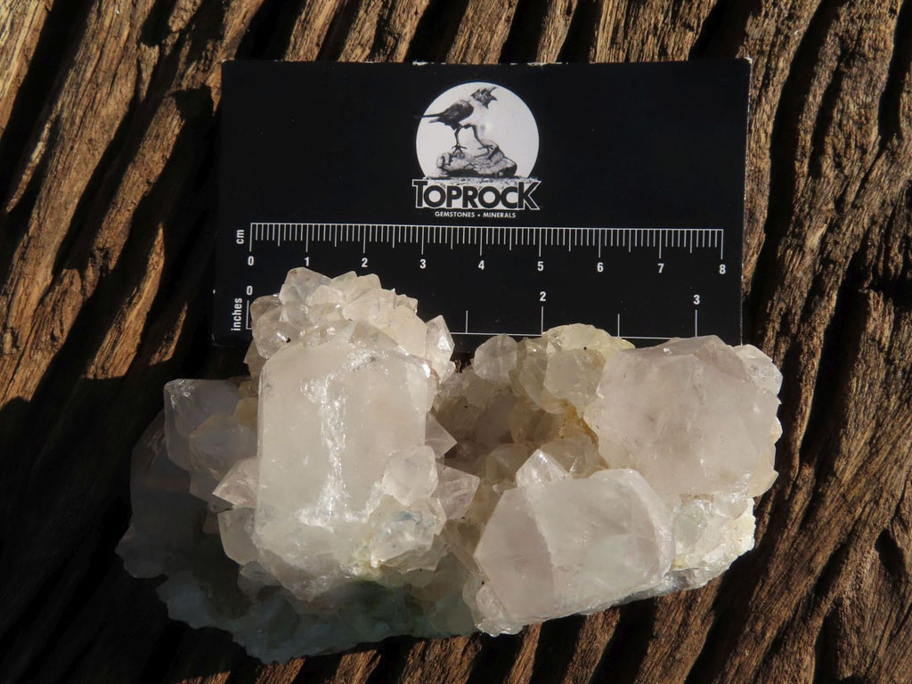 Natural White Spirit Cactus Quartz Clusters x 6 From Boekenhouthoek, South Africa - TopRock