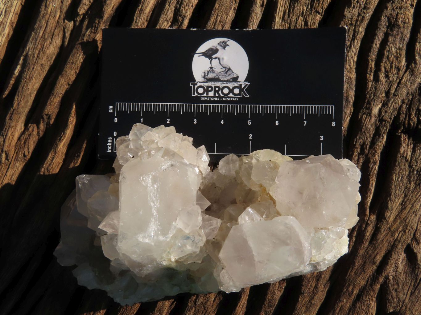 Natural White Spirit Cactus Quartz Clusters x 6 From Boekenhouthoek, South Africa - TopRock