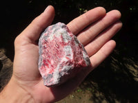 Natural Rough Red Rhodonite Cobbed Specimens  x 6 From Zimbabwe - TopRock