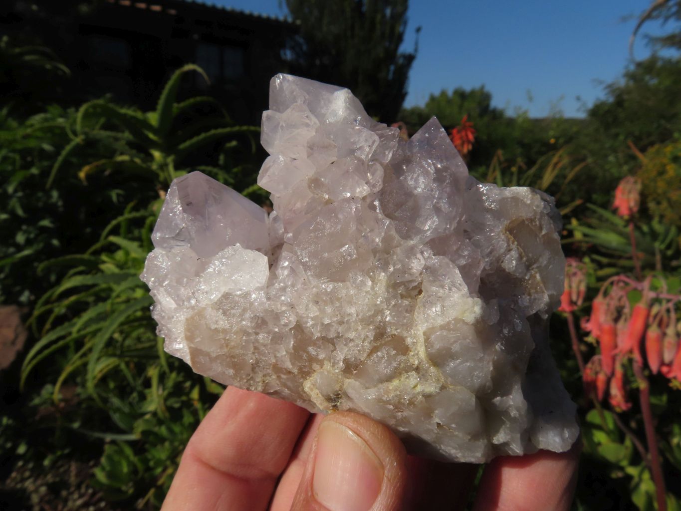 Natural White Spirit Cactus Quartz Clusters x 6 From Boekenhouthoek, South Africa - TopRock