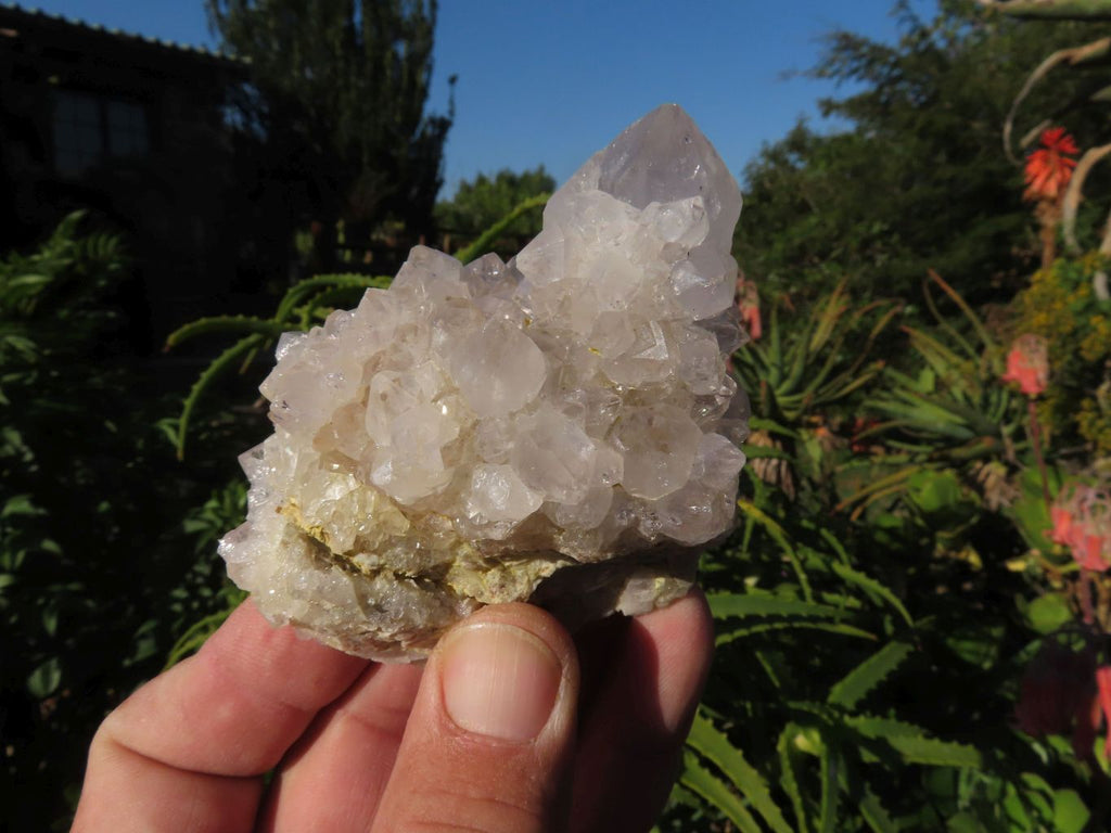 Natural White Spirit Cactus Quartz Clusters x 6 From Boekenhouthoek, South Africa - TopRock