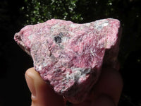 Natural Rough Red Rhodonite Cobbed Specimens  x 6 From Zimbabwe - TopRock