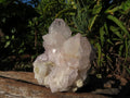 Natural White Spirit Cactus Quartz Clusters x 6 From Boekenhouthoek, South Africa - TopRock