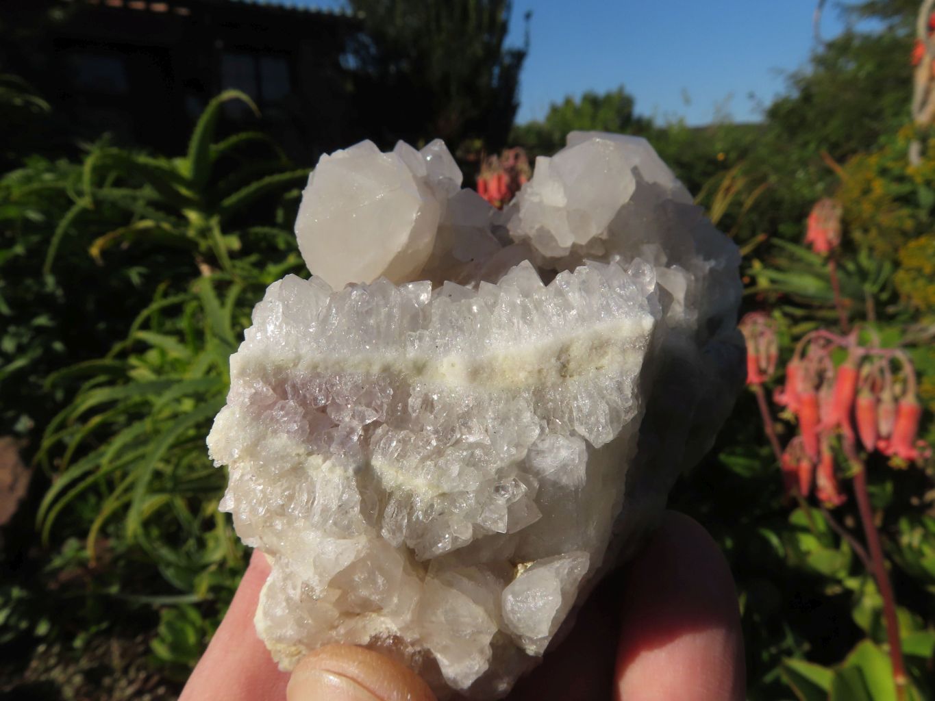 Natural White Spirit Cactus Quartz Clusters x 6 From Boekenhouthoek, South Africa - TopRock