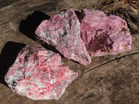 Natural Rough Red Rhodonite Cobbed Specimens  x 6 From Zimbabwe - TopRock