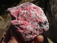 Natural Rough Red Rhodonite Cobbed Specimens  x 6 From Zimbabwe - TopRock
