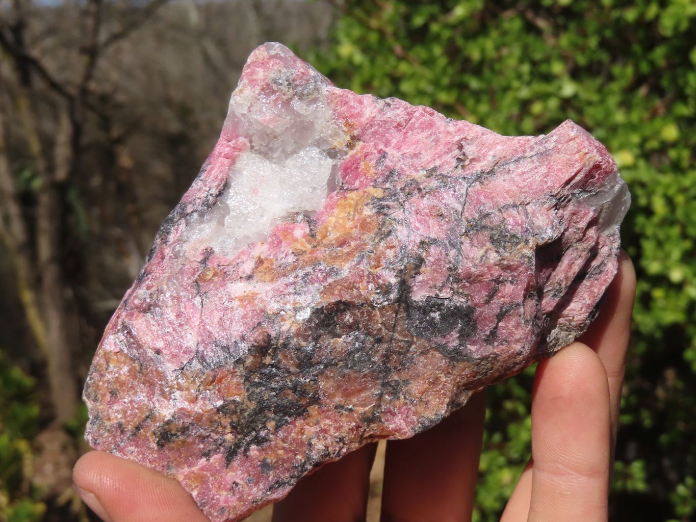 Natural Rough Red Rhodonite Specimens x 3 From Zimbabwe - Toprock Gemstones and Minerals 