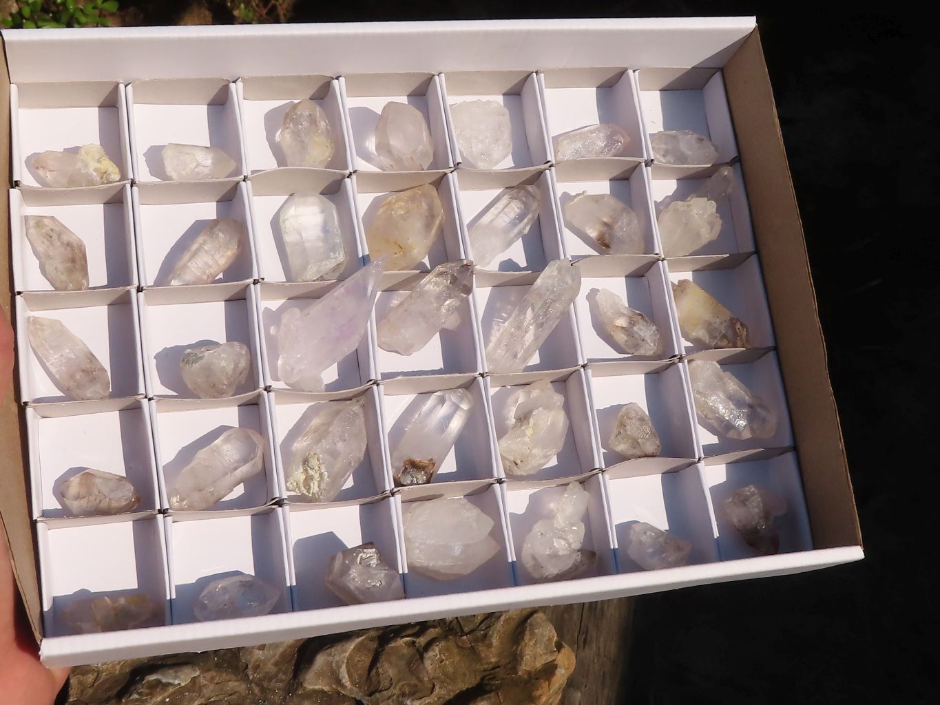 Natural Lovely Clear Brandberg Quartz Crystals x 35 From Brandberg, Namibia - Toprock Gemstones and Minerals 