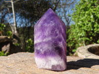 Polished Deep Purple Chevron Amethyst Points  x 12 From Zambia - Toprock Gemstones and Minerals 