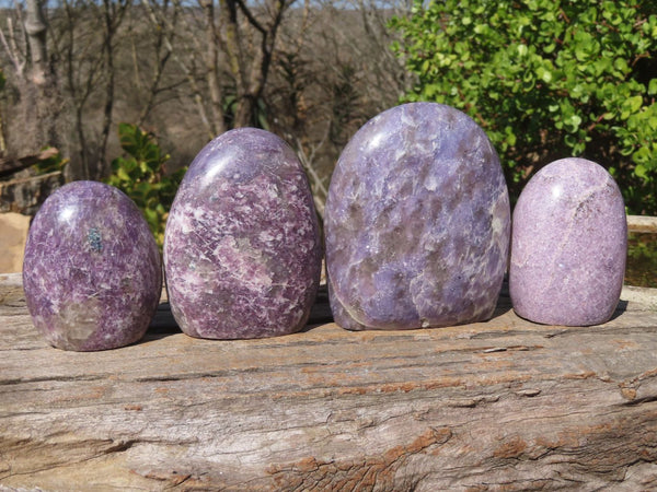Polished Purple Lepidolite Standing Free Forms  x 4 From Madagascar - Toprock Gemstones and Minerals 