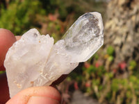 Natural Lovely Clear Brandberg Quartz Crystals x 35 From Brandberg, Namibia
