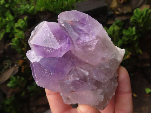 Natural Jacaranda Amethyst Crystal Specimens  x 6 From Zambia - Toprock Gemstones and Minerals 