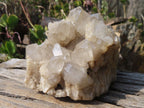 Natural Smokey Quartz Cluster x 1 From Congo - Toprock Gemstones and Minerals 